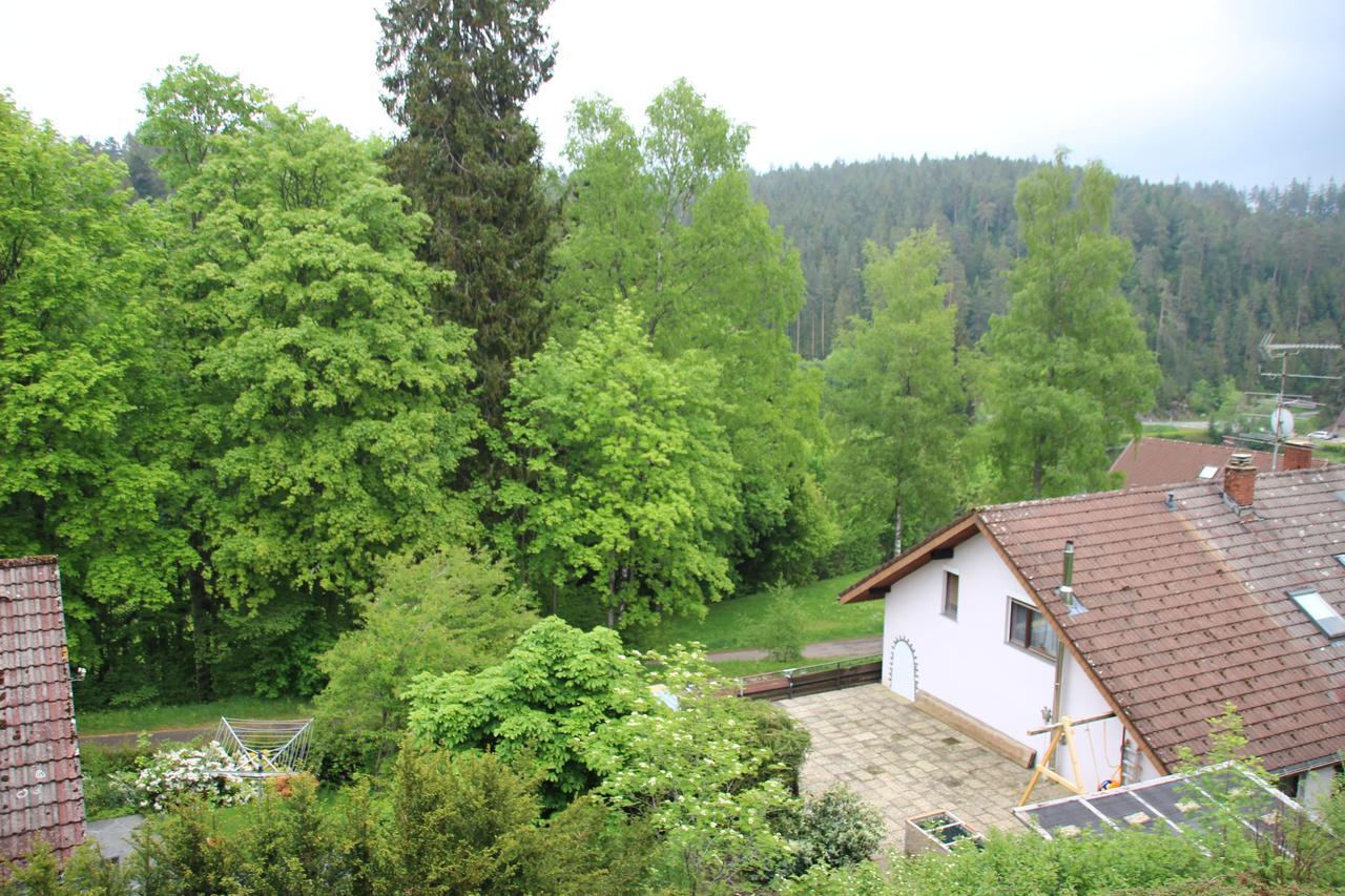 Kuckucksnester Friedenweiler מראה חיצוני תמונה