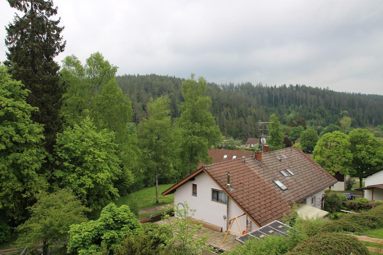 Kuckucksnester Friedenweiler מראה חיצוני תמונה